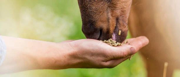 istockphoto-939942526-612x612 istockphoto-939942526-612x612